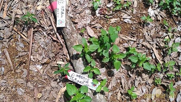 P_20210809_104140_vHDR_On.jpg