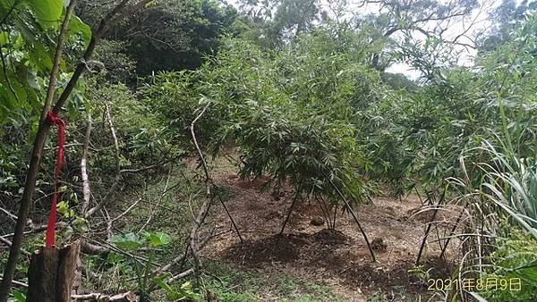 P_20210809_104016_vHDR_On.jpg