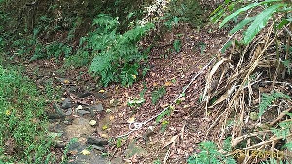 P_20210809_102921_vHDR_On.jpg