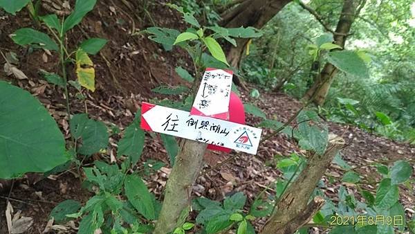 P_20210809_105258_vHDR_On.jpg