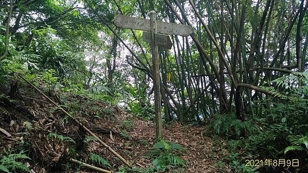 P_20210809_105638_vHDR_On.jpg