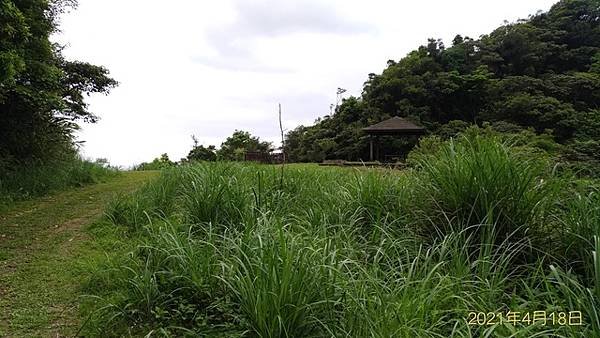 2021-04-18紙坑山、上林山、平林山、后番子坑古道(1