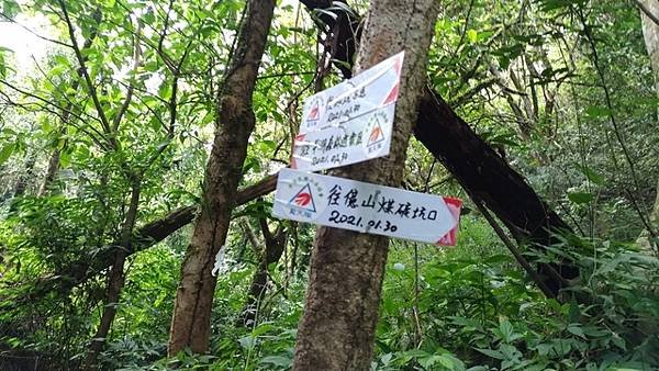 2021-04-18紙坑山、上林山、平林山、后番子坑古道(1