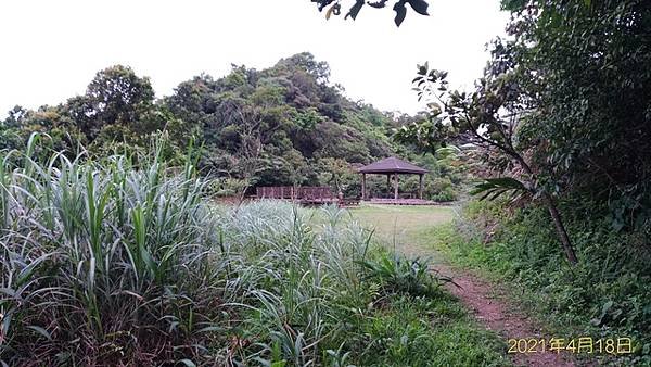 2021-04-18紙坑山、上林山、平林山、后番子坑古道(1