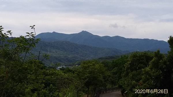 2020-06-26三生步道、橫山里賞桐步道、不能說的秘密