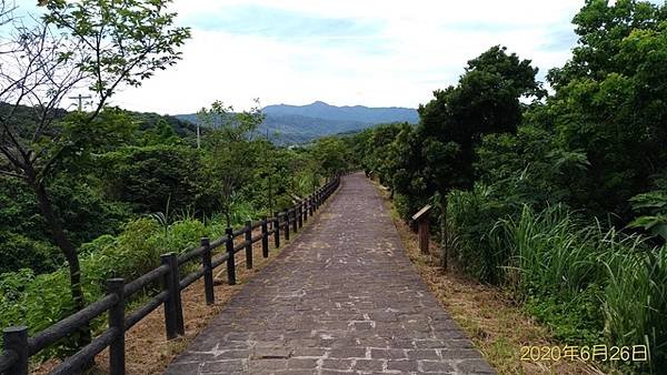 2020-06-26三生步道、橫山里賞桐步道、不能說的秘密