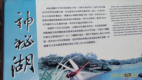 2020-06-26三生步道、橫山里賞桐步道、不能說的秘密