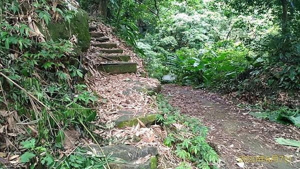 2020-06-07六寮崙山、六寮崙西南峰(1108)