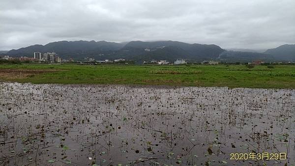 2020-03-29磺港山、神秘海岸、金包里山(1089)