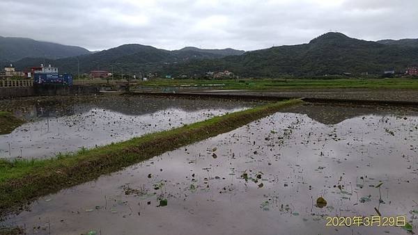 2020-03-29磺港山、神秘海岸、金包里山(1089)