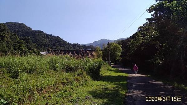 2020-03-15暖東峽谷森林浴步道