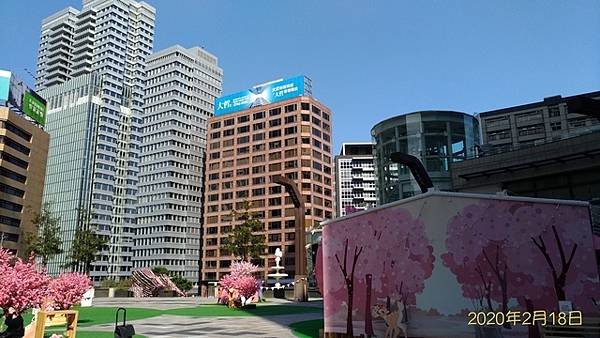 P_20200218_095028.jpg