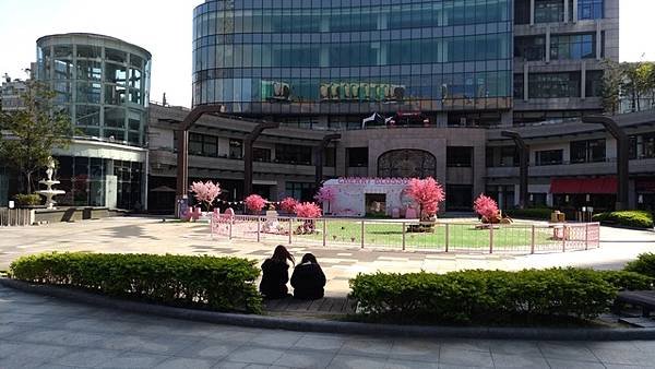 P_20200218_094804.jpg