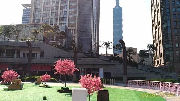 P_20200218_095115.jpg