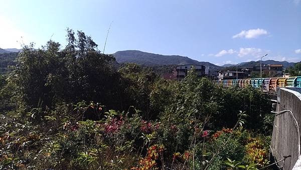 2019-11-16大嶺古道、灣坑頭山、吾居吾墅步道