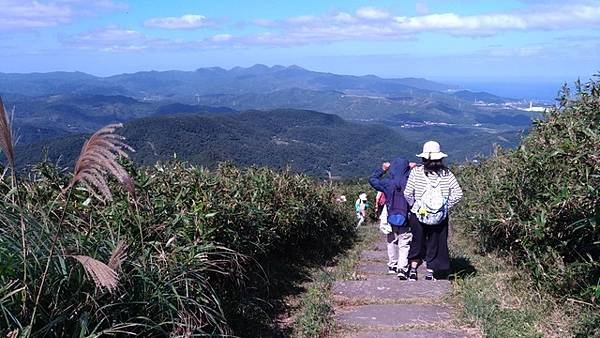 2019-11-16大嶺古道、灣坑頭山、吾居吾墅步道