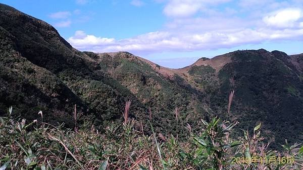 2019-11-16大嶺古道、灣坑頭山、吾居吾墅步道