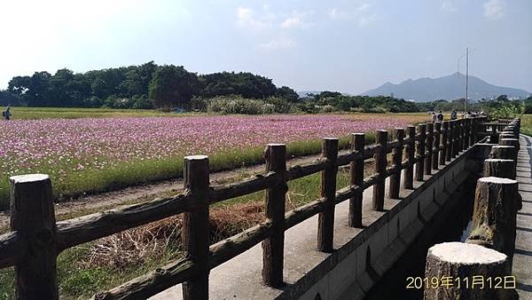 2019-11-12 2019緣起關渡花現秘境