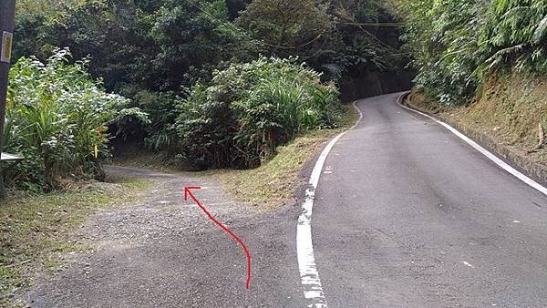 2019-11-10大嶺古道、大石壁坑山北峰、大石壁坑山、五