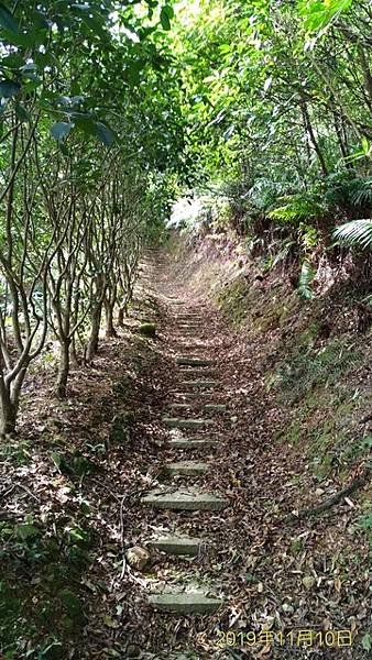 2019-11-10大嶺古道、大石壁坑山北峰、大石壁坑山、五