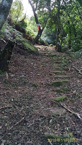 2019-11-10大嶺古道、大石壁坑山北峰、大石壁坑山、五