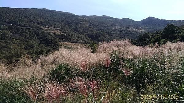 2019-11-10大嶺古道、大石壁坑山北峰、大石壁坑山、五