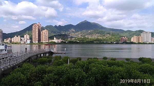 2019-08-18八里左岸、挖子尾自然保留區