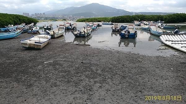 2019-08-18八里左岸、挖子尾自然保留區