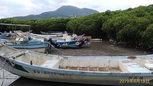 2019-08-18八里左岸、挖子尾自然保留區