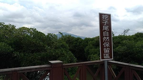 2019-08-18八里左岸、挖子尾自然保留區
