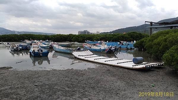 2019-08-18八里左岸、挖子尾自然保留區