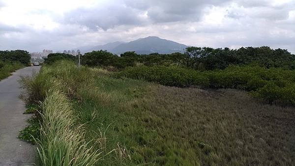 2019-08-18八里左岸、挖子尾自然保留區
