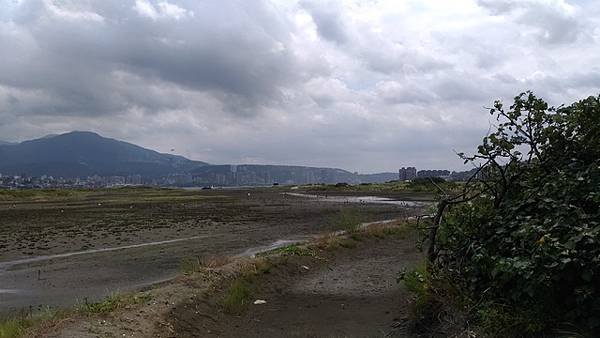 2019-08-18八里左岸、挖子尾自然保留區