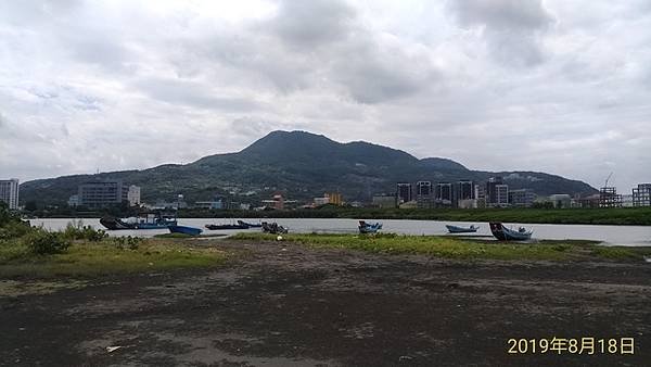 2019-08-18八里左岸、挖子尾自然保留區