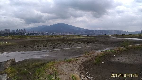 2019-08-18八里左岸、挖子尾自然保留區