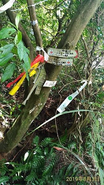 2019-08-03淡蘭古道北路之燦光寮古道、楊廷理古道