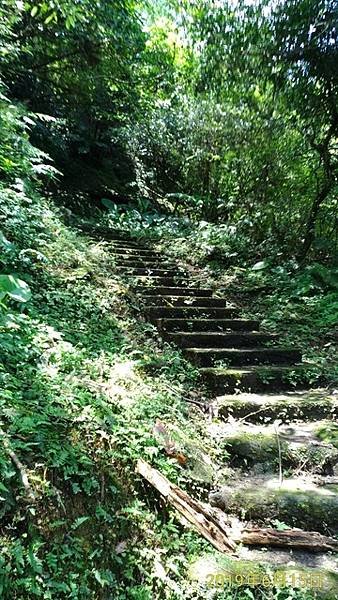 2019-06-15淡蘭古道南路之外按古道、圳沽古道