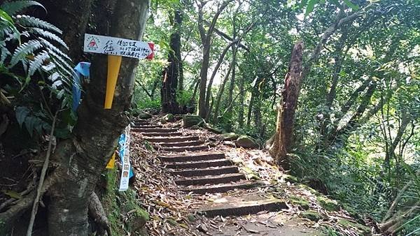 2019-04-07入蘭正道之金字碑古道