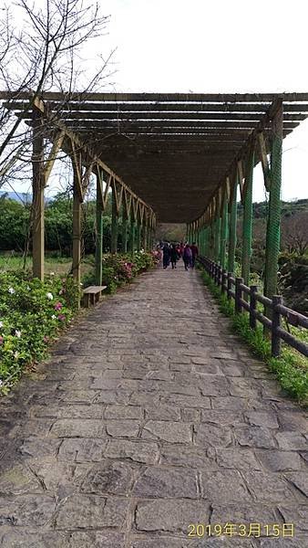 2019-03-15麟山鼻岬角、風芝門自行車道、三生步道