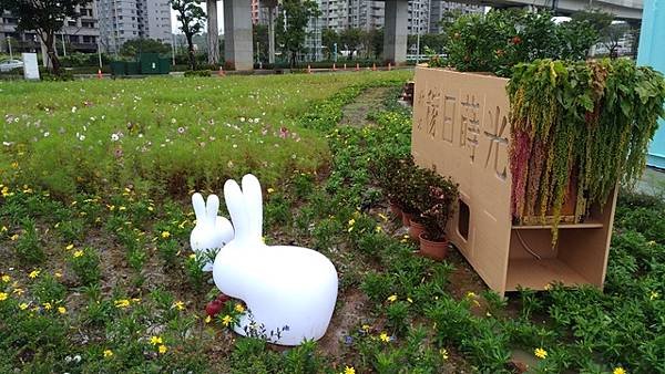 2018-12-24淡水輕軌、淡水河紅樹林自然保留區