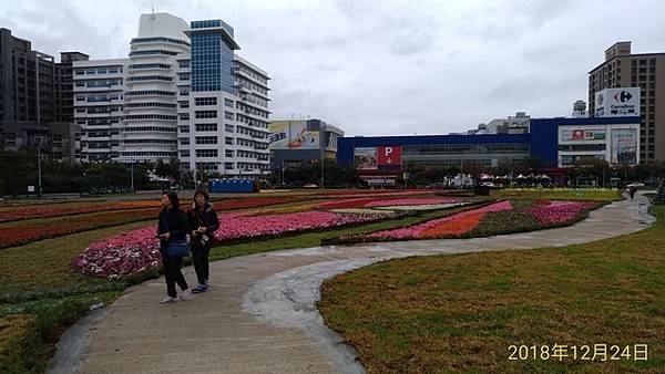 2018-12-24淡水輕軌、淡水河紅樹林自然保留區