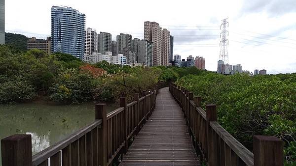 2018-12-24淡水輕軌、淡水河紅樹林自然保留區