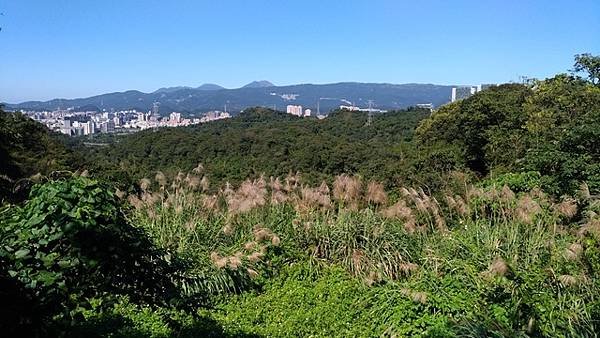 2018-12-02十三份山步道、糞箕湖山北峰(1050)