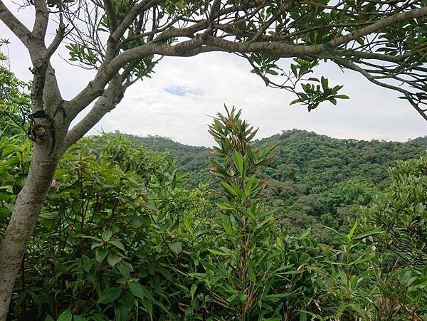 2023-06-19錢穆故居登文間山連走格物台