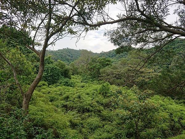 2023-06-19錢穆故居登文間山連走格物台