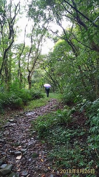 2018-08-26姜子寮絕壁、頂尾湖聚落、姜子寮古道、旗尾