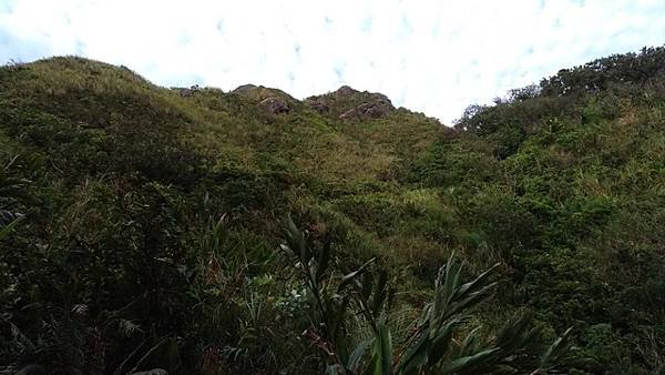 2018-08-04情人湖登山步道、老鷹岩、大武崙山、海興登