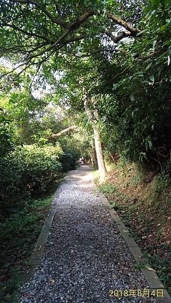 2018-08-04情人湖登山步道、老鷹岩、大武崙山、海興登