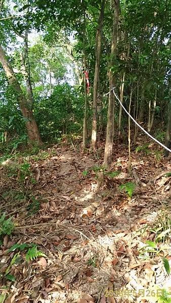 2018-05-26貢寮縱走大溪(長潭山縱走蕃薯寮山)(10