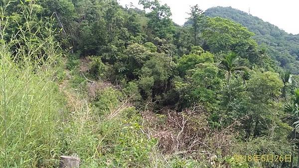 2018-05-26貢寮縱走大溪(長潭山縱走蕃薯寮山)(10